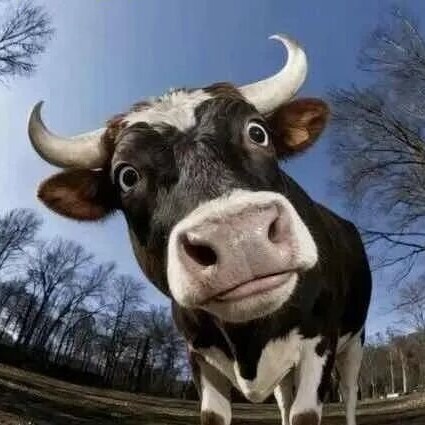 Profile Image of the Author